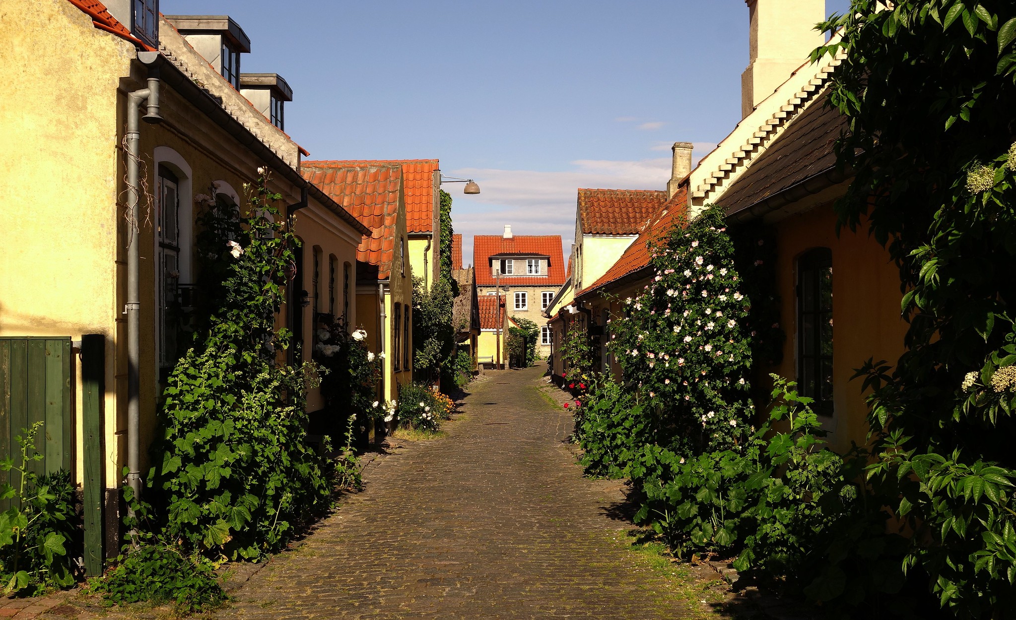Jens Cederskjold –Flickr: Von Ostensgade - Dragør - Amager - Denmark