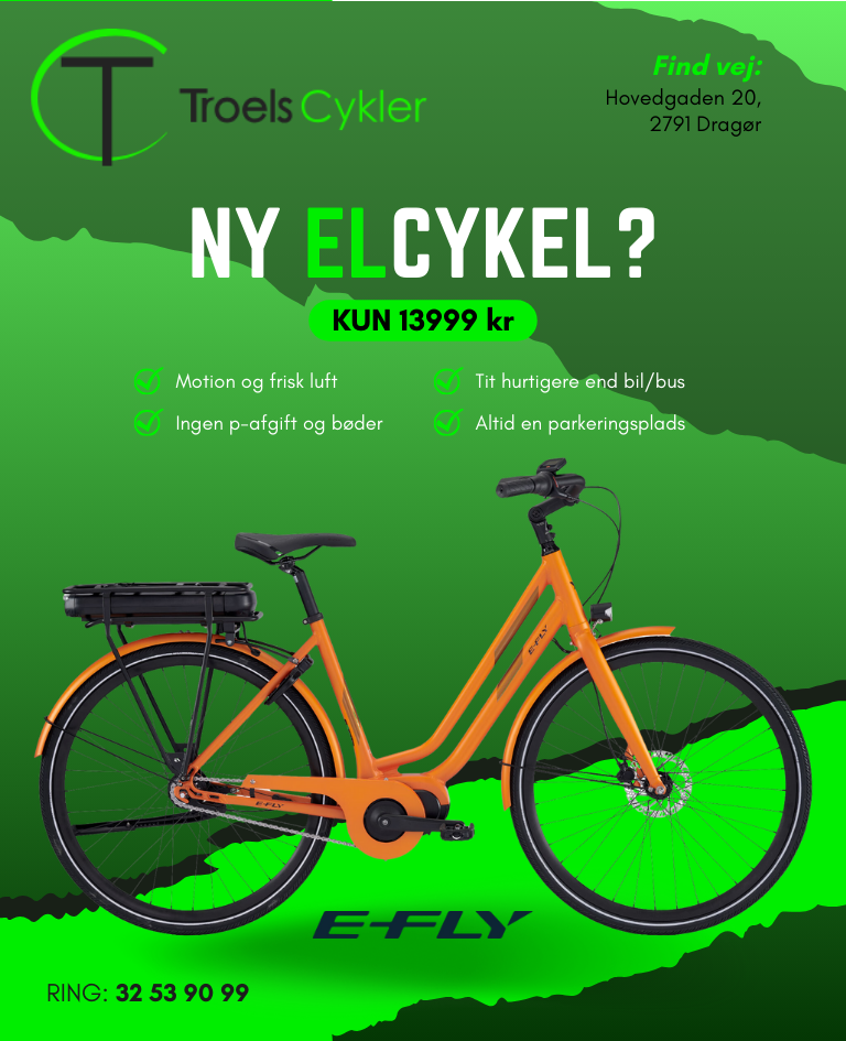 Troels Cykler - E-fly Via