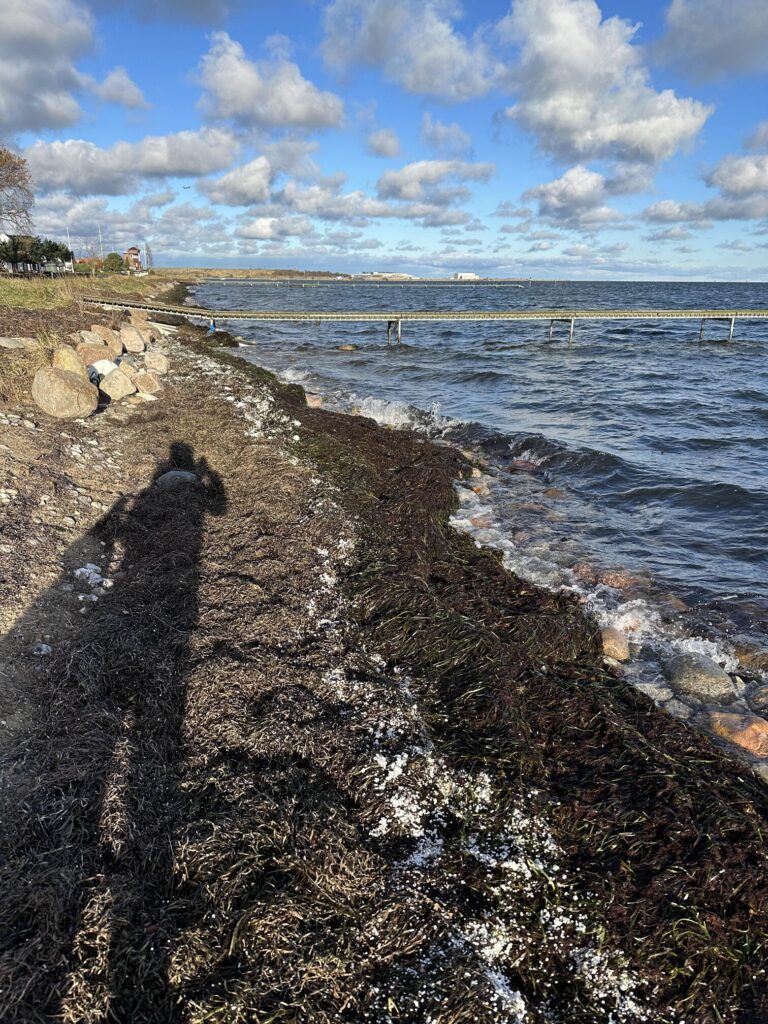 rsz 1efter | foto fra dragørnews.dk