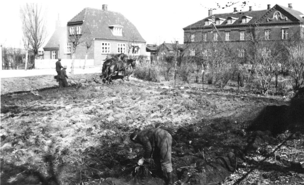 Haven bag Stationsvej 8, nuværende Linde Allé 4A-4B, 4. juni 1942. Under besættelsen var der flere udfordringer. Flere ville gerne lytte med på udvalgte telefonlinjer. Else Arnbo afviste alle forsøg. Varemanglen var en anden udfordring. Man ville gerne være så meget selvforsynende som muligt under besættelsen. Foto udlånt af Else Arnbo.
