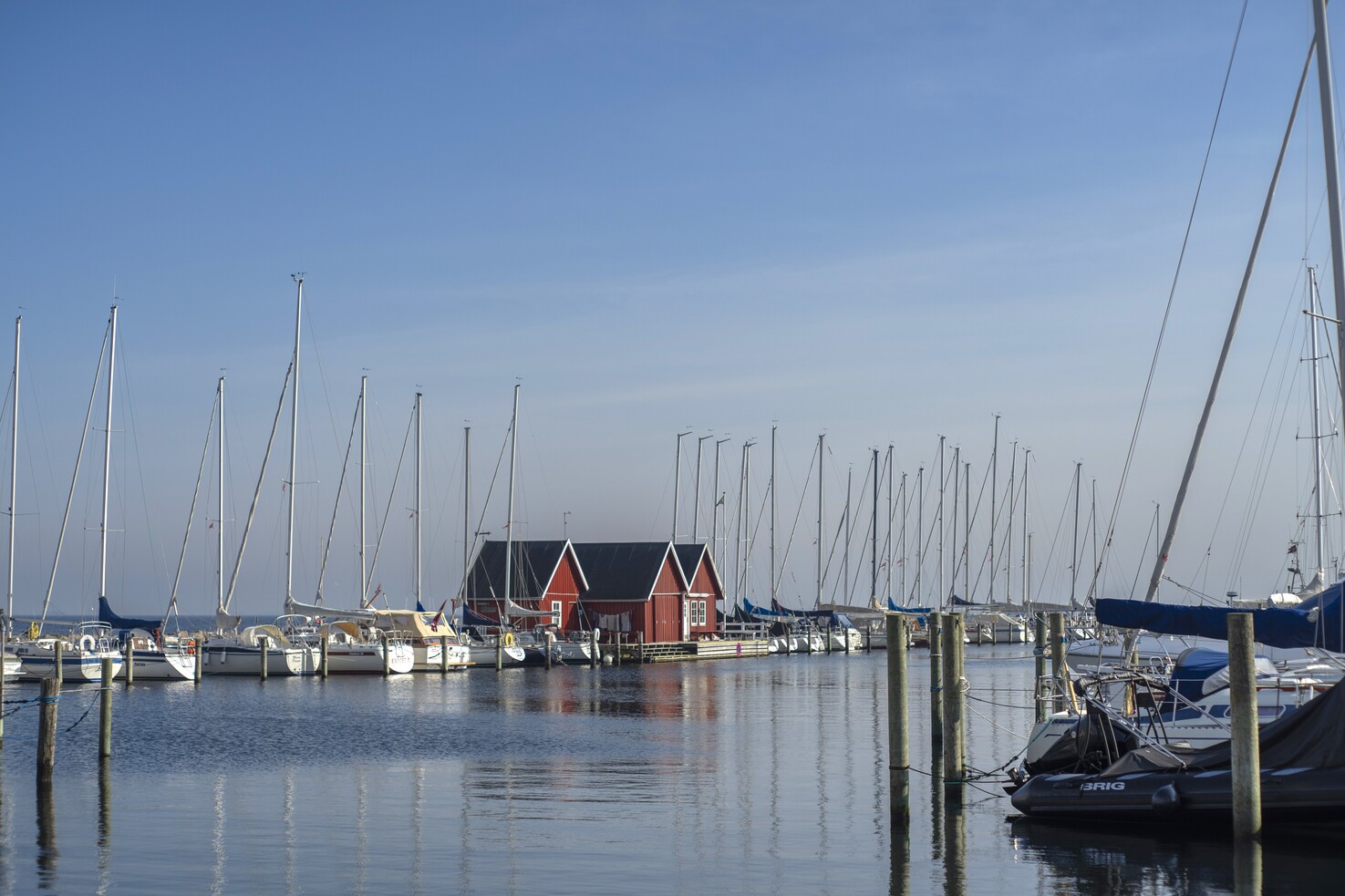 Dragør Havn. Foto: Dragør News.