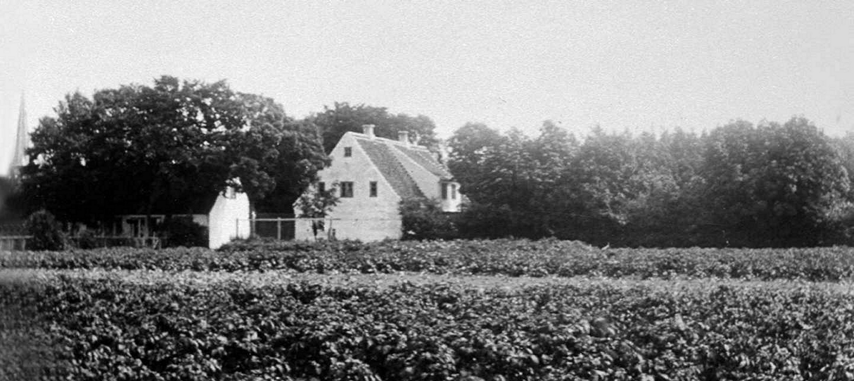 Gården i Store Magleby før tilbygningen blev opført på vestsiden af stuehuset. Til venstre skimtes spiret på Dragør Kirke. Ca. 1903. Foto: Privateje.