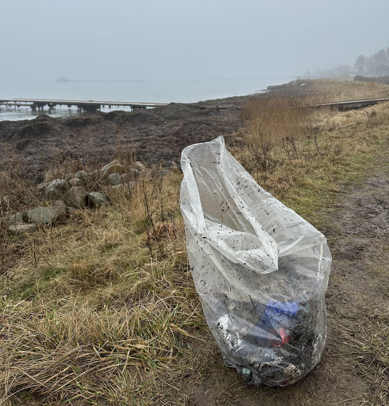 Der meldes igen om affald langs kysten. Foto: Julie Jakobsen Connelly.