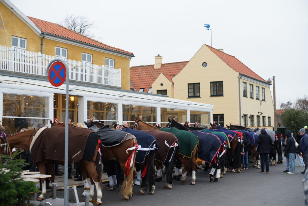 Hestene foran Dragør Strandhotel. Foto: Dragør News.