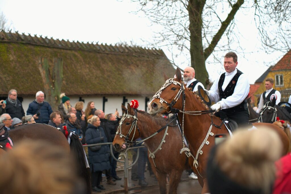 Rytterne ankommer til tøndeslagningen. Foto: Dragør News.