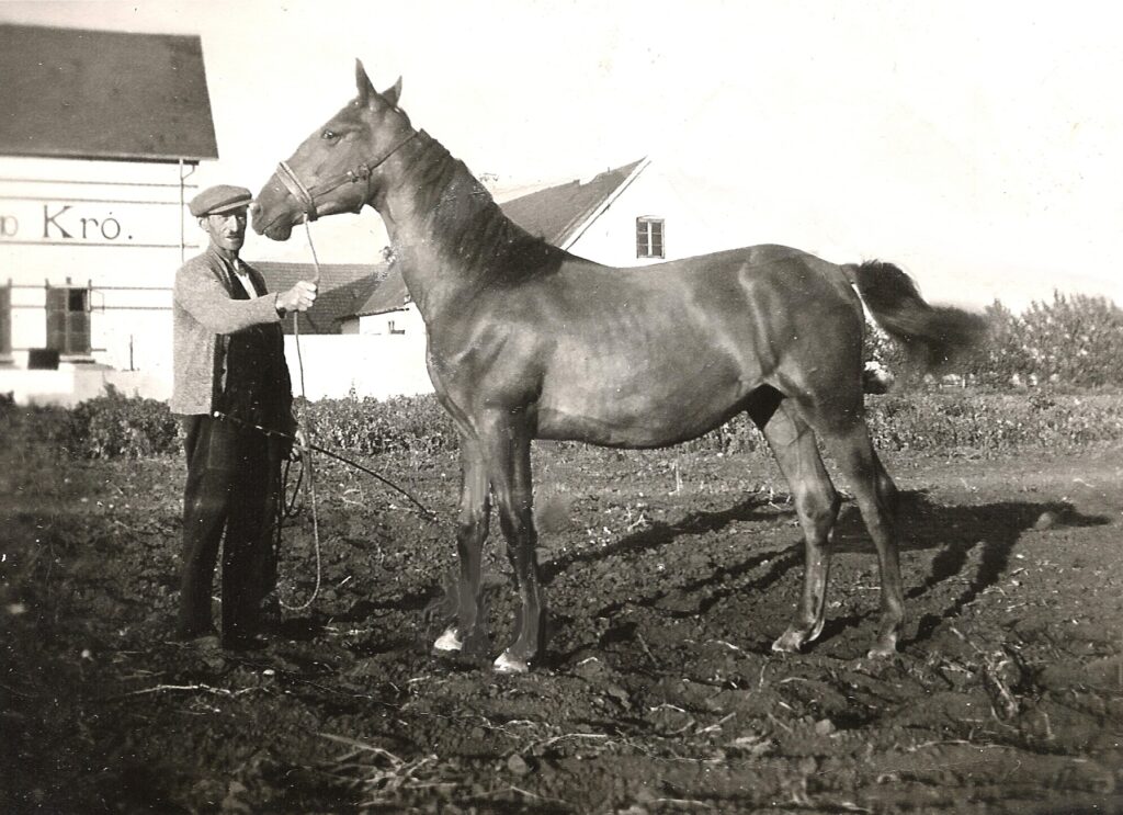 1940ca org L Jensen 1 1 | foto fra dragørnews.dk