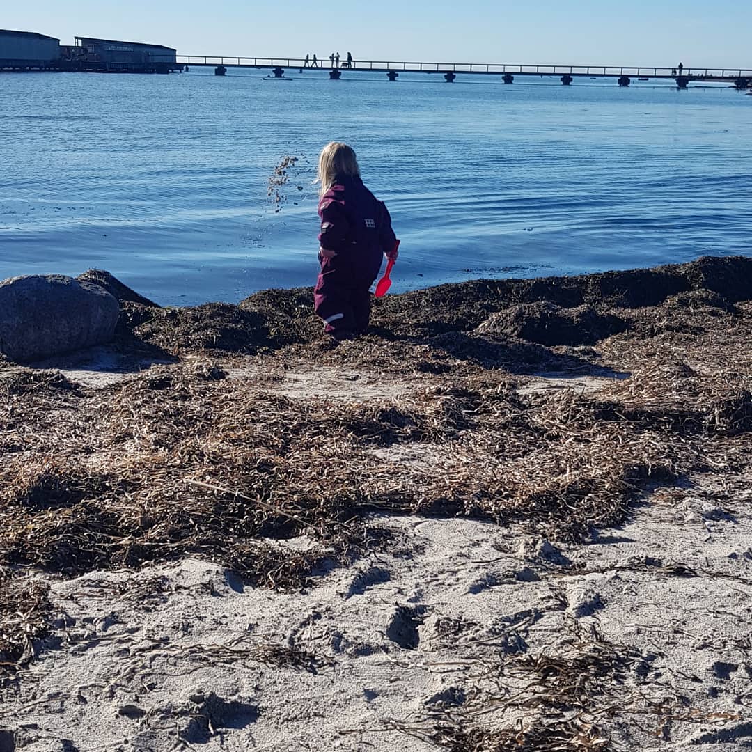 Mormorstranden i Dragør. Foto: Lotte Steen