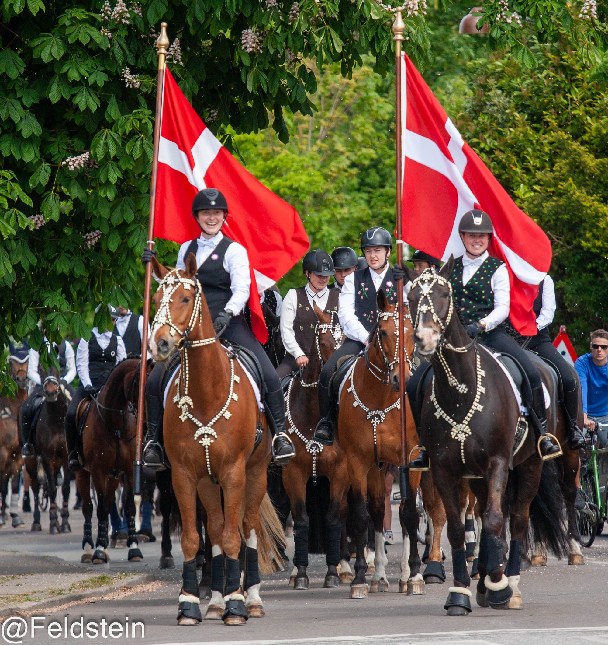 Ringridningen 2023. Foto: Feldstein.