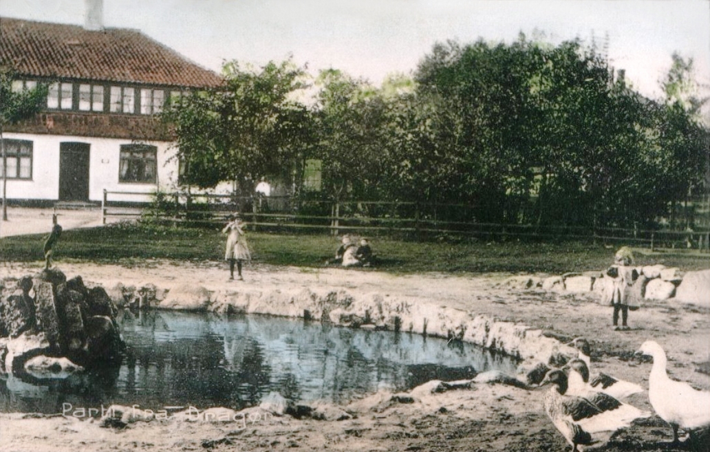 Postkort fra 1907-08 med "Høyerup" i baggrunden. "Dragørs Fremme" har lavet bassinet og vandværkets direktør har købt og opsat gipsfiguren "Dreng med stor fisk". Postkort udlånt af Jørgen Aamand (DB-Arkiv).