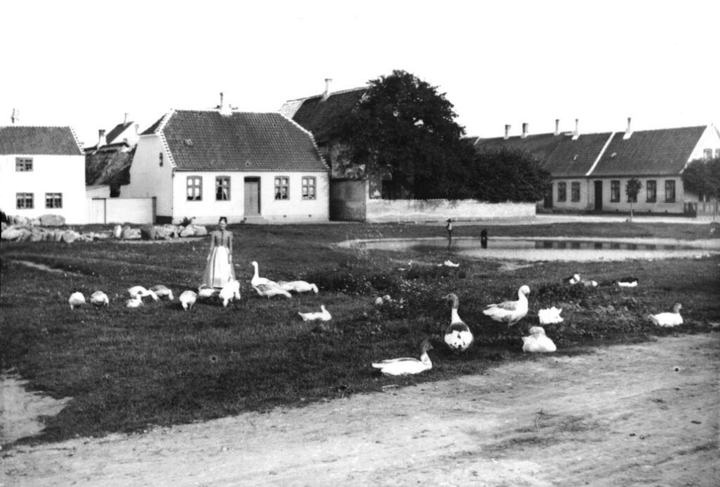 Den nordlige væl (vandhul) ca. 1890. Nuværende E.C. Hammersvej 3, bygningen bag "gåsepigen", er opført i 1863. Omkring det tidspunkt, hvor fotografiet blev taget, var der her en mindre tobakshandel. Bygningen på hjørnet af Kongevejen, der delvis er skjult af træerne, er opført 1793 til byfoged Jacob Bertelsen og nedrevet 1935. Kongevejen 1 på det andet hjørne blev ombygget midt i trediverne. Foto fra glasplade, der nu opbevares hos Museum Amager.