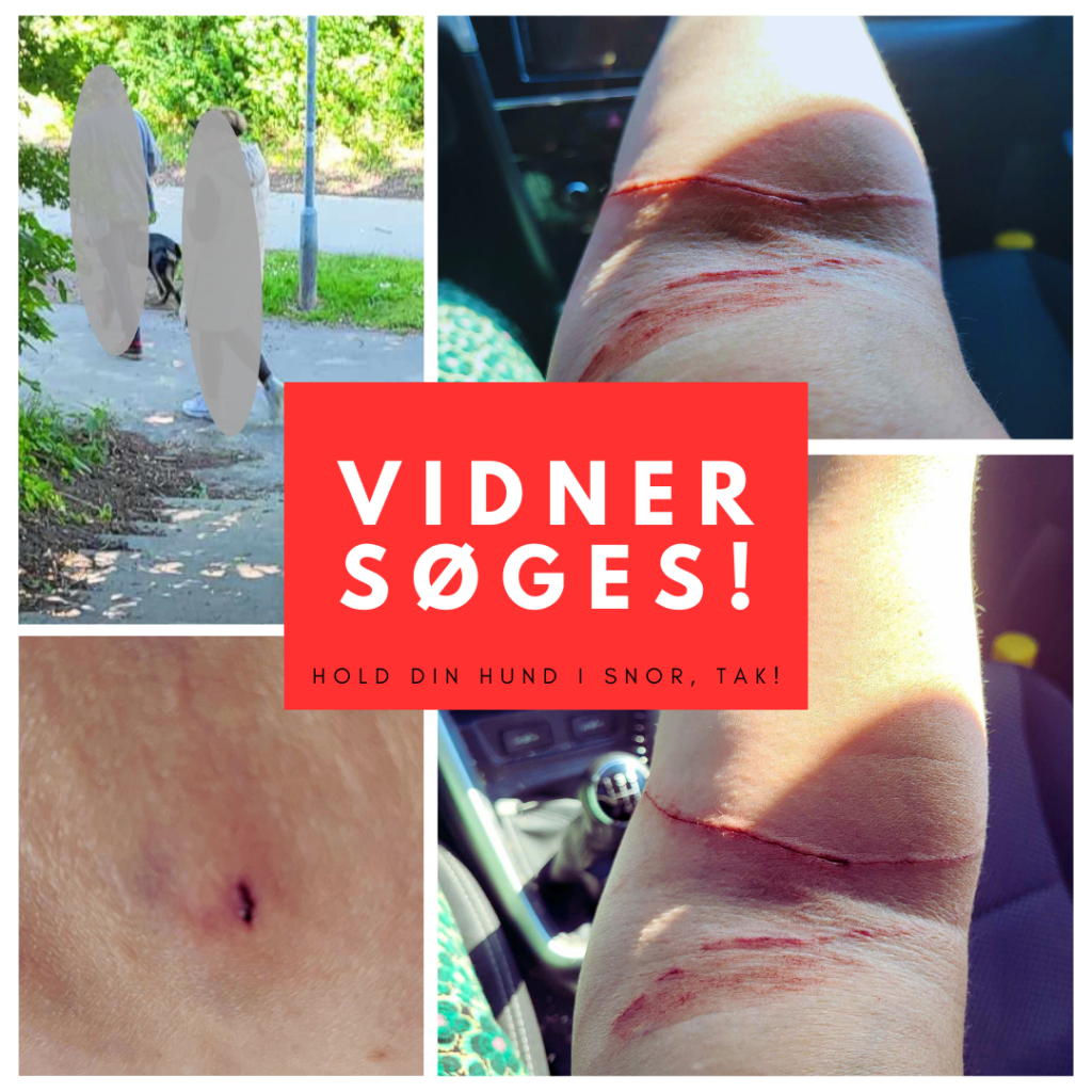 VIDNER SØGES