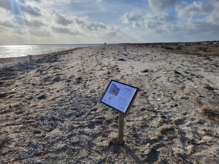 De opsatte skilte på Kofoeds Enge. Foto: Dragør Kommune.